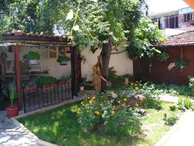 Guest House Alex TTchernomorets Extérieur photo