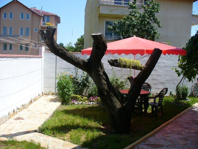 Guest House Alex TTchernomorets Extérieur photo